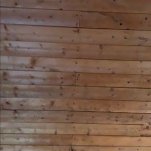 Meet your Posher, Lizz